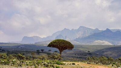 Discover the World's Most Remote and Fascinating Islands