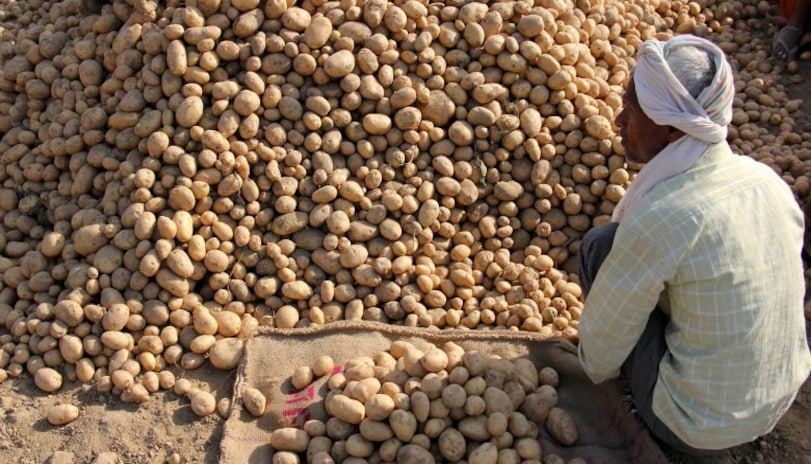 Farmer in front of his potato produce