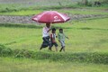 Skymet on unseasonal rains in the central part of the country and Maharashtra