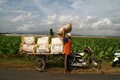 Deepening farm crisis in India could hurt PM Modi's re-election bid