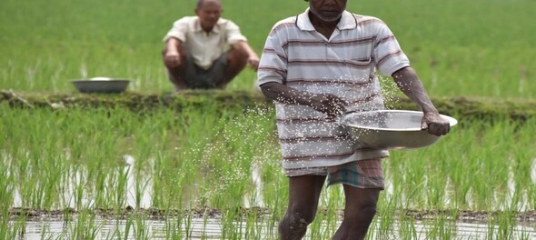 Telangana becoming rice bowl of India: Chief Minister KCR