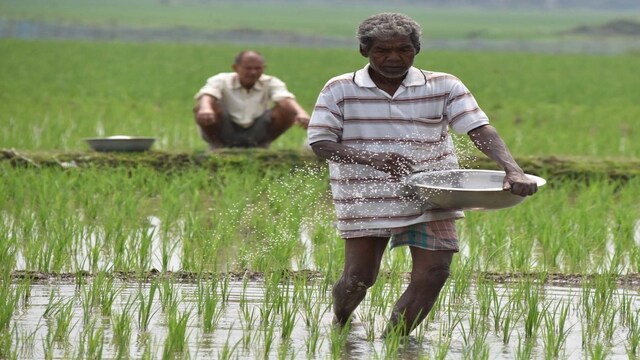 The past, present and future of farm loan waivers in India