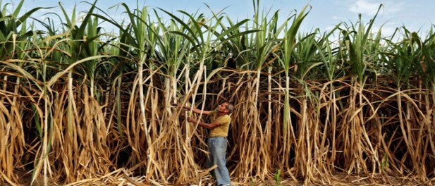 OMCs, sugar mills, banks to set up escrow account to pay for ethanol procurement