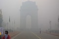 Emergency action plan in Delhi to curb air pollution