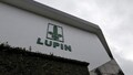 Lupin says it has trimmed portfolio and workforce to increase its profit margin