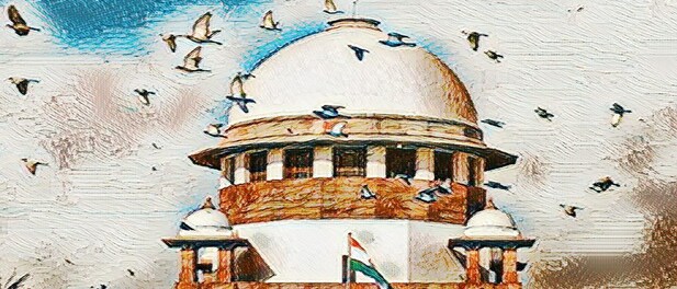 Supreme Court upholds bankruptcy code: Long live the IBC