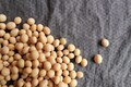 Expecting India to address small trade barriers in soyabean exports, says US diplomat