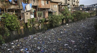 India increases grants to $15 million to handle global environment crises