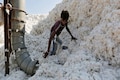 Cotton prices hit all-time highs; associations seek import duty waiver, ban on cotton MCX trading
