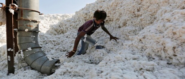 Government exempts customs duty on cotton import till September 30