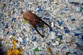 New sustainable 'plastics' in the offing