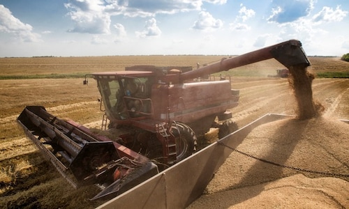 Global trade war to be a boon for Black Sea grain