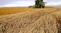 World food security at risk as exporters curb sales, importers buy more