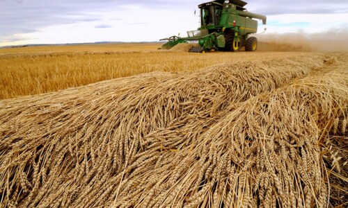 Govt sets foodgrain output target at record 328 million tonnes for 2022-23 crop year