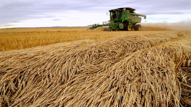 Govt sets foodgrain output target at record 328 million tonnes for 2022 ...