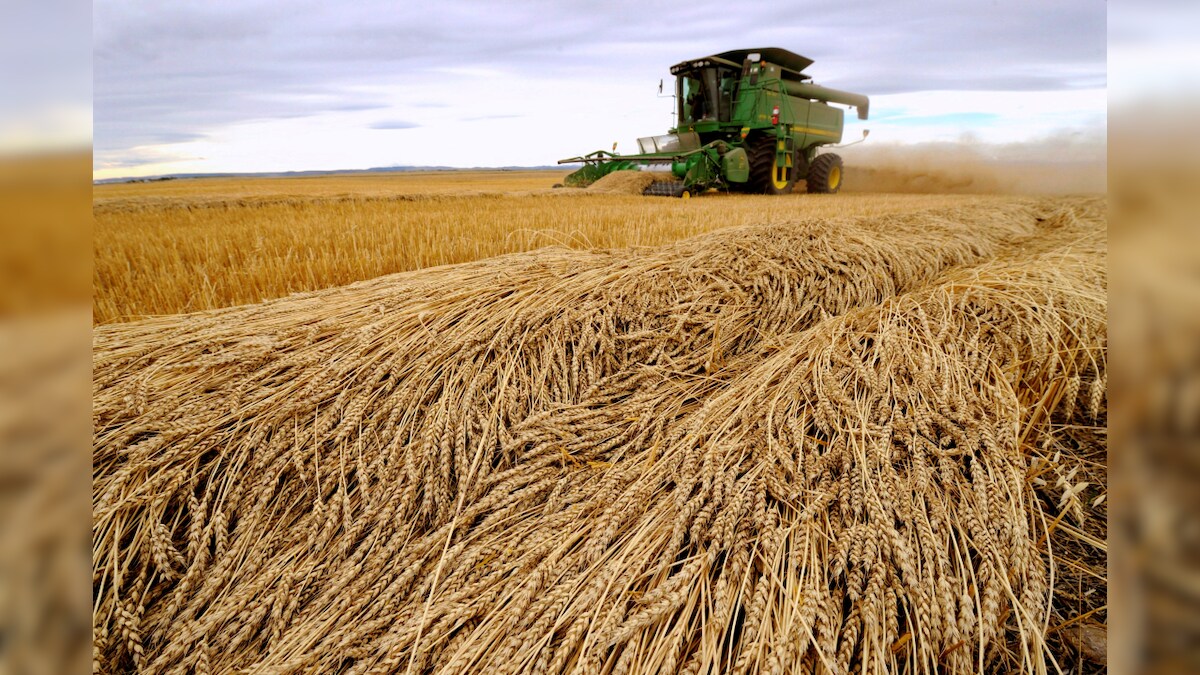 Govt sets foodgrain output target at record 328 million tonnes for 2022 ...