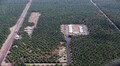 India's palm oil imports set to hit six-year low