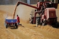 Crop damage mounts for EU farmers after torrid summer