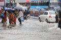 Army, Navy rescue marooned people in Karnataka's flood-hit district