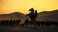 Untamed horses 'Yilki' roam in Turkish foothills