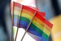 US psychoanalysts apologize for labelling homosexuality an illness
