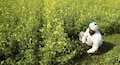 Resolving farmers' woes: Here's what experts have to say