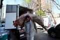 Less meat, more pasta: how the economic crisis is changing Argentina's diet