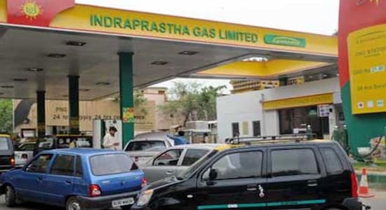 Indraprastha Gas, Indraprastha Gas share price, Indraprastha Gas results, stock market