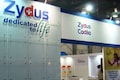 PPFAS MF expects Zydus Wellness to expand Heinz brands