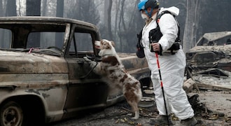 Cadaver dogs lead grim search for victims in California fire