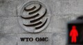 WTO says G20 trade restrictions soar, cover $481 billion of trade
