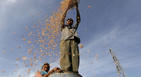 Wheat price rise inevitable in India when global rates are high: NITI Aayog