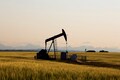 Commodities round-up: Crude oil alleviates from 7-year high