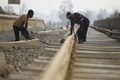 3 railway projects delayed by over 225 months: Govt report