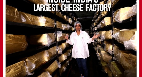 Here's a tour of India's largest cheese factory