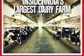 Here's how Parag Milk Foods produces milk from its dairy farm in Pune