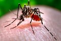 Not just conjunctivitis, Delhi sees rise in dengue and Malaria cases too