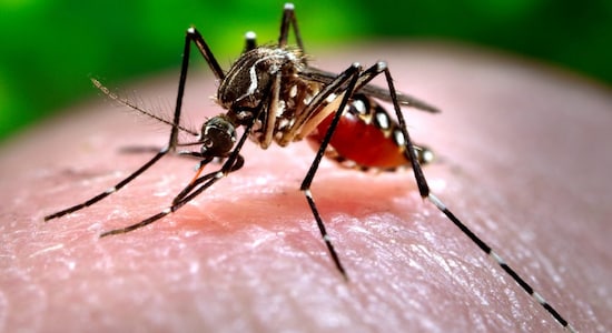 Dengue outbreak: From UP to Maharashtra, viral fever wreaks havoc across India; kids worst hit