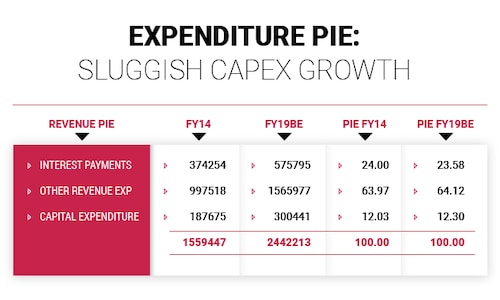 Expenditure pie: Sluggish capex growth