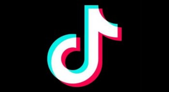 Government seeks reply from TikTok on security, 'age gate'