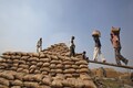Union Cabinet hikes MSP on wheat by Rs 110 per quintal