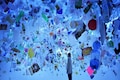 Microbes are evolving to eat plastic, says this Swedish study