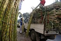 India's October 1-March 15 sugar output rises nearly 6 percent