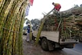 India's October 1-March 15 sugar output rises nearly 6 percent