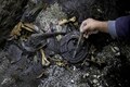 Aztec war sacrifices found in Mexico may point to elusive royal tomb