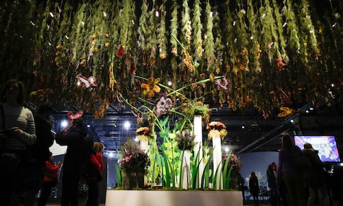 Philadelphia Flower Show has '60s vibe with 'Flower Power'
