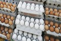 Maharashtra faces one crore daily egg shortage: Here's what the state plans to do