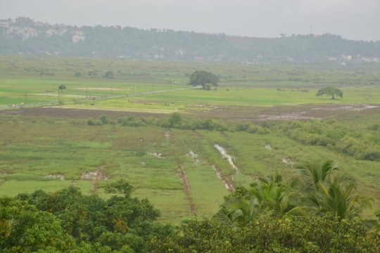 Goan Land A 24-year-old woman is leading the way to catalogue biodiversity of a ...
