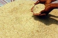 Shivraj Chouhan seeks GI tag for Madhya Pradesh's Basmati rice; meets Union agriculture minister