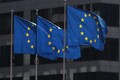 Euro zone business downturn eases in January